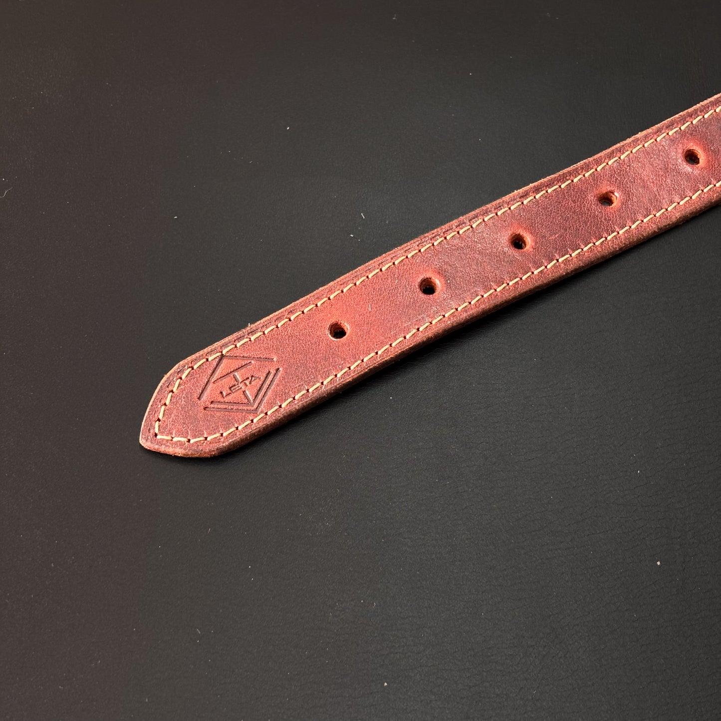 Collares para mascotas personalizados